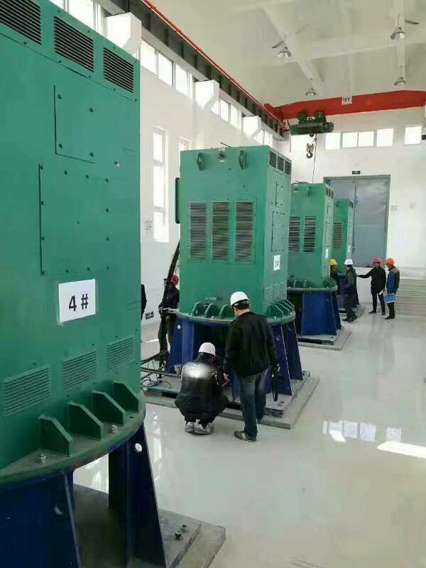 惠安某污水处理厂使用我厂的立式高压电机安装现场